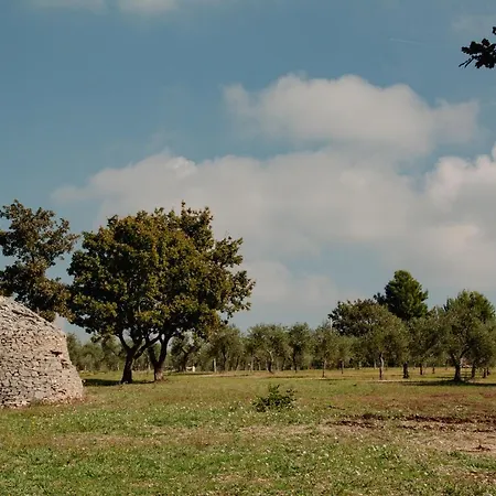 Terre Di Sveva