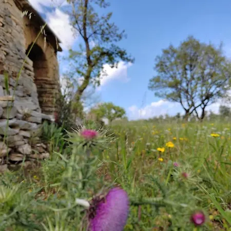 Appartamento Terre Di Sveva Castel Del Monte (Apulia)
