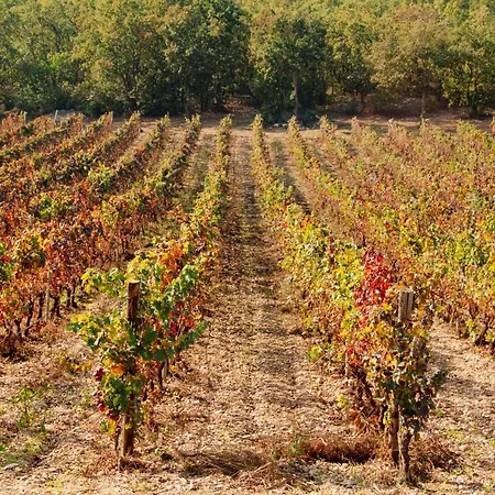Appartamento Terre Di Sveva