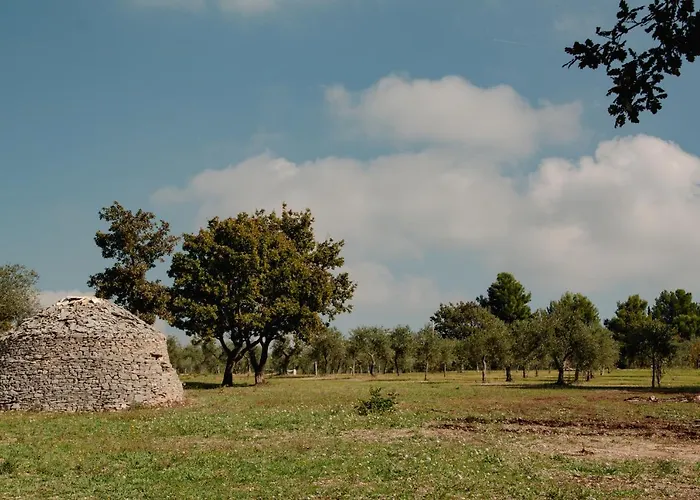 Terre Di Sveva